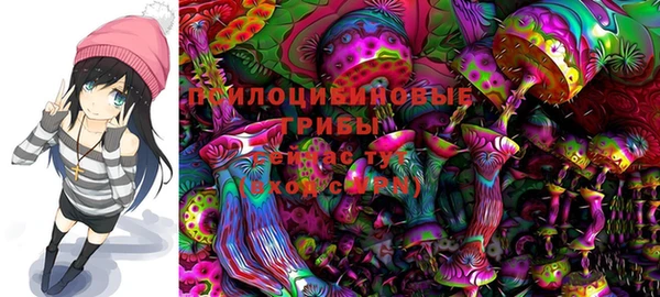 бошки Лагань