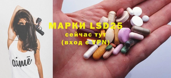 хмурый Кулебаки