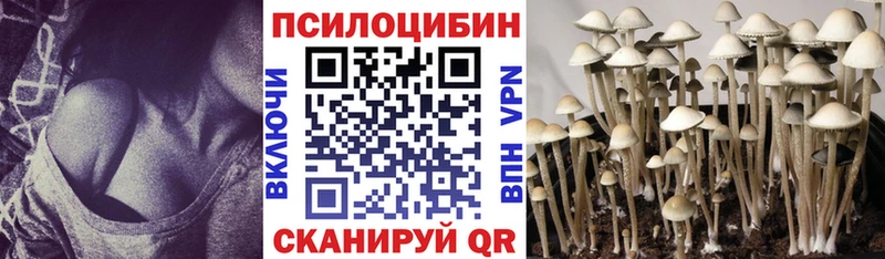 Галлюциногенные грибы MAGIC MUSHROOMS это какой сайт Кудрово