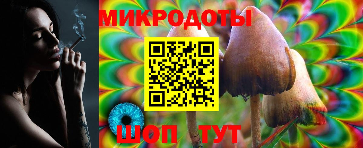 Кудрово  Галлюциногенные грибы Psilocybe  Вход с VPN 